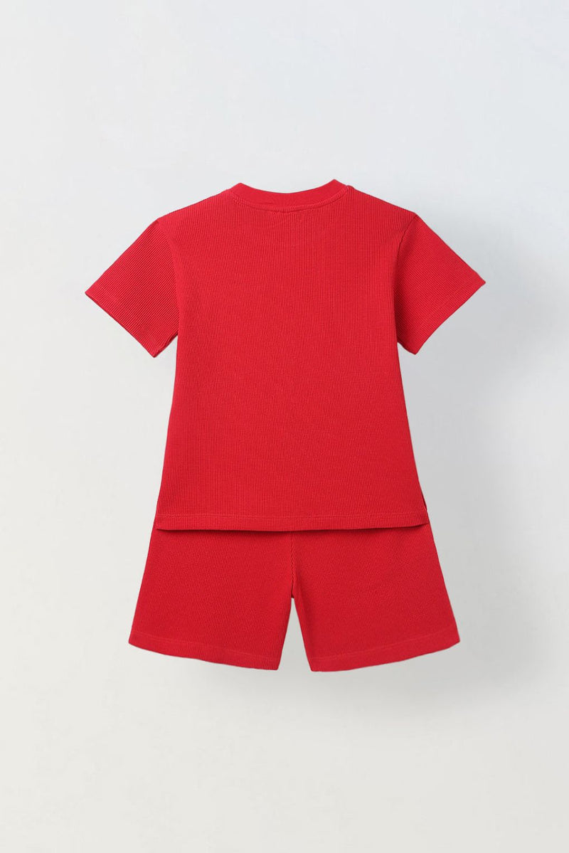 Spunkies Boys Red Half Sleeves T-Shirt and Shorts Lycra Set