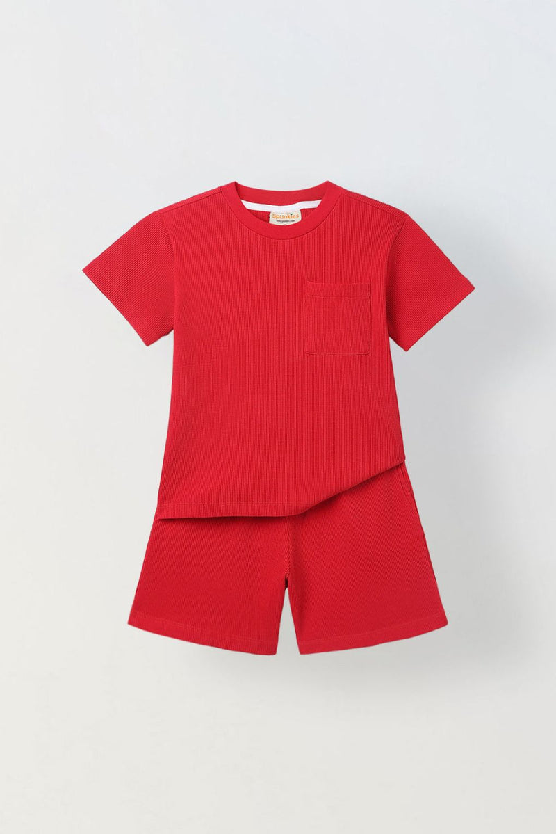 Spunkies Boys Red Half Sleeves T-Shirt and Shorts Lycra Set