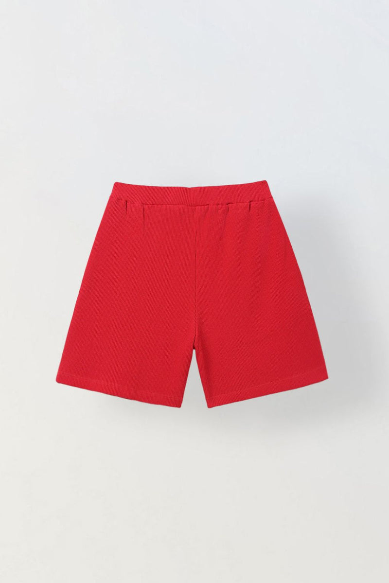 Spunkies Boys Red Half Sleeves T-Shirt and Shorts Lycra Set
