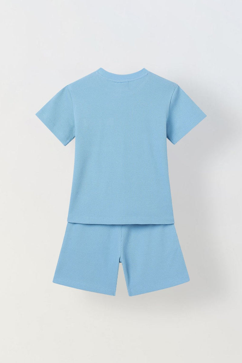 Spunkies Boys Blue Solid Crew Neck Short Sleeves T-Shirt and Shorts Set