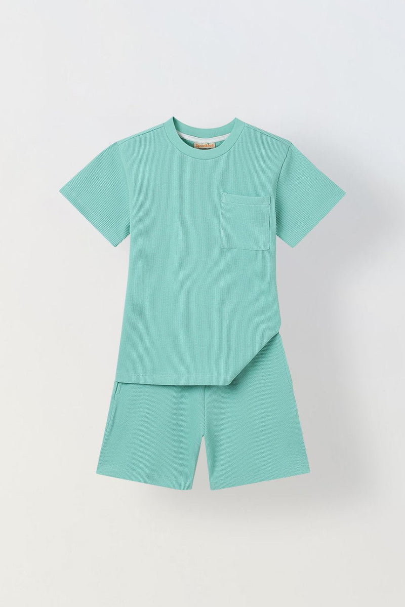 Spunkies Boys Green Solid Crew Neck Short Sleeves T-Shirt and Shorts Set