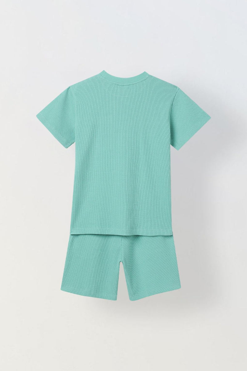 Spunkies Boys Green Solid Crew Neck Short Sleeves T-Shirt and Shorts Set