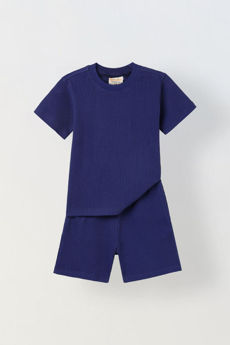 Spunkies Boys Navy Blue Solid Crew Neck Short Sleeves T-Shirt and Shorts Set