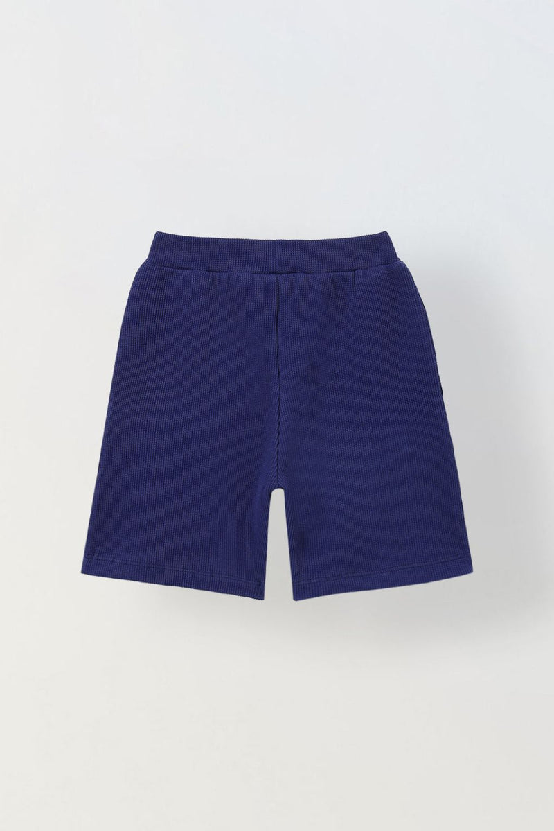 Spunkies Boys Navy Blue Solid Crew Neck Short Sleeves T-Shirt and Shorts Set