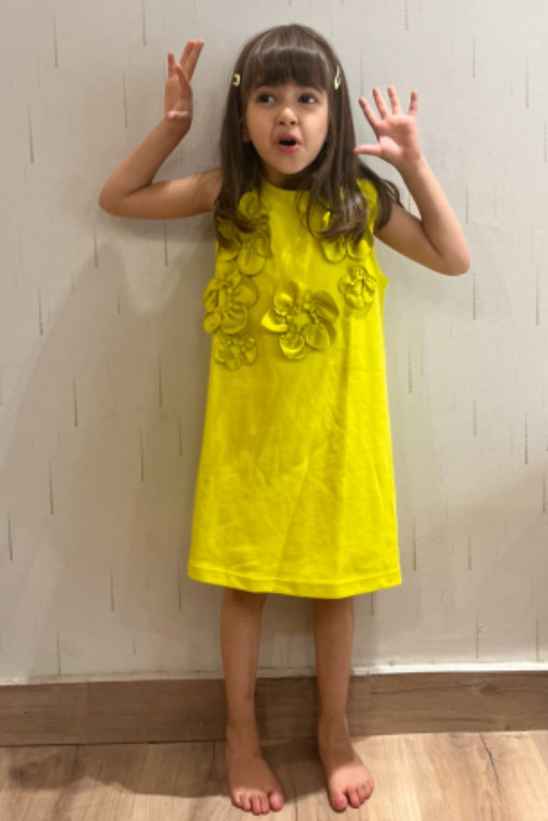Lime Sleeveless 3D Floral Dress