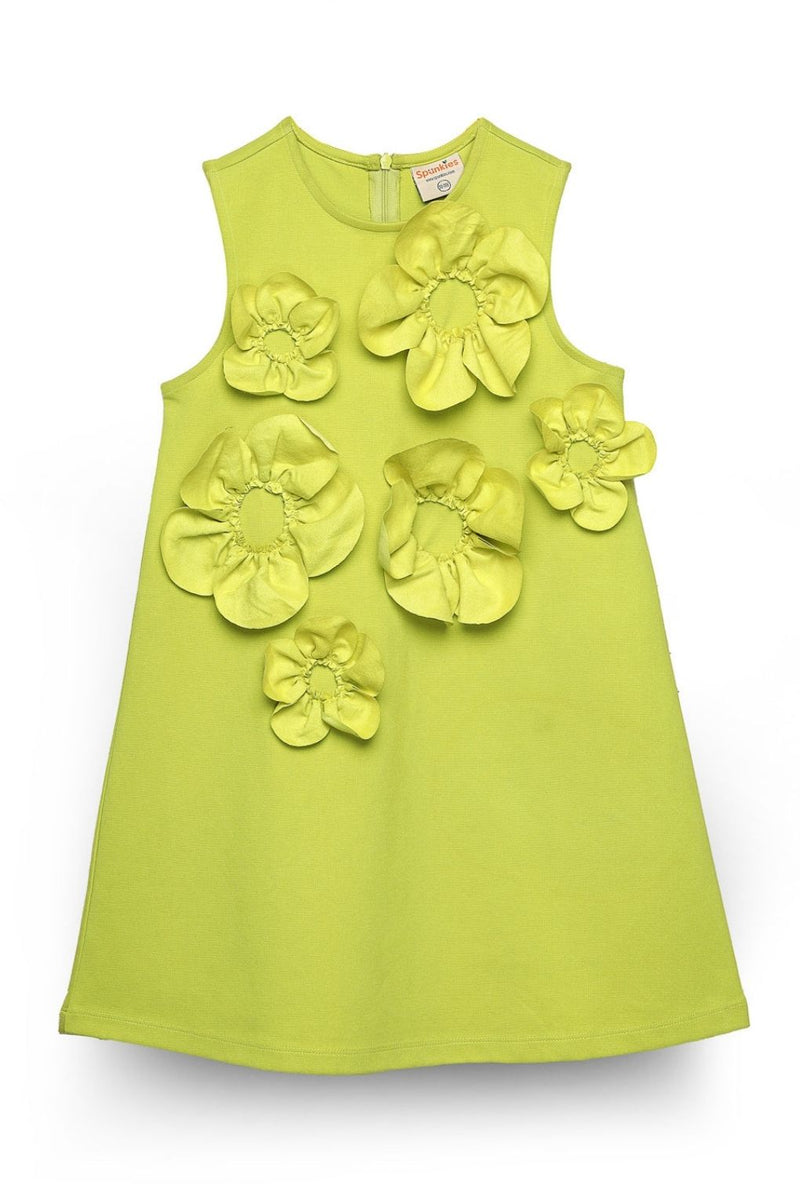 Lime Sleeveless 3D Floral Dress