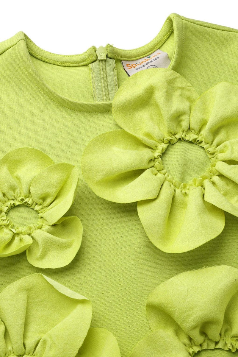 Lime Sleeveless 3D Floral Dress
