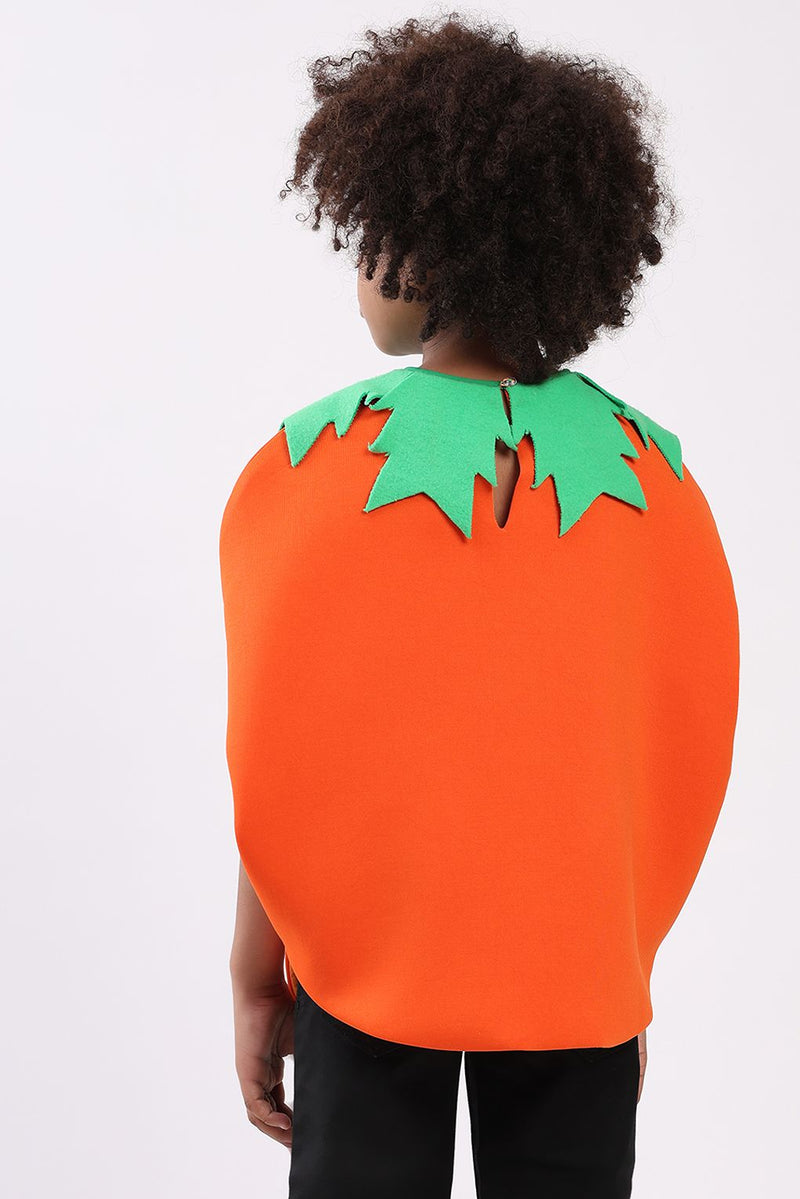 Spunkies Pumpkin Poncho Costume