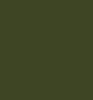 Green Fig