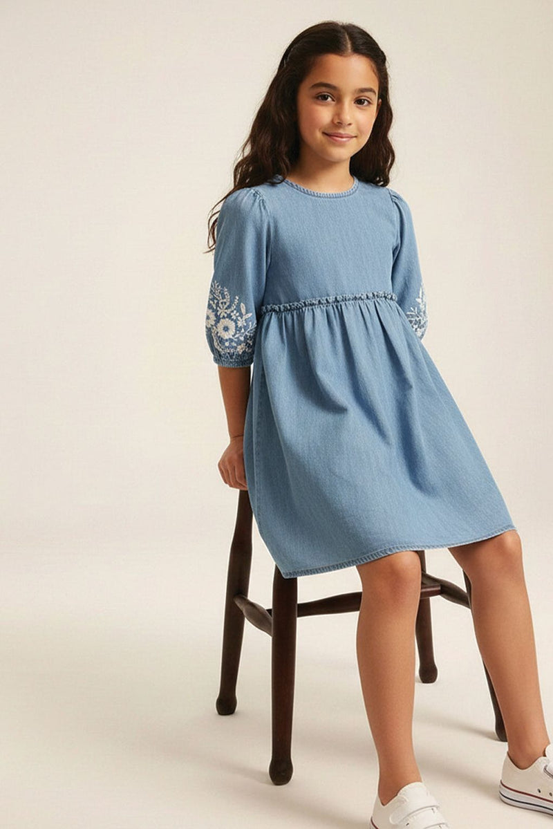 Spunkies Girls Denim Embroidered Dress