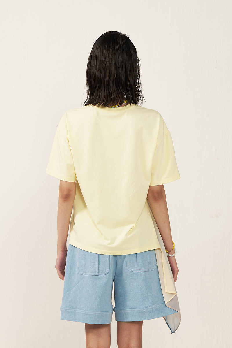 Sunveil Layered Top