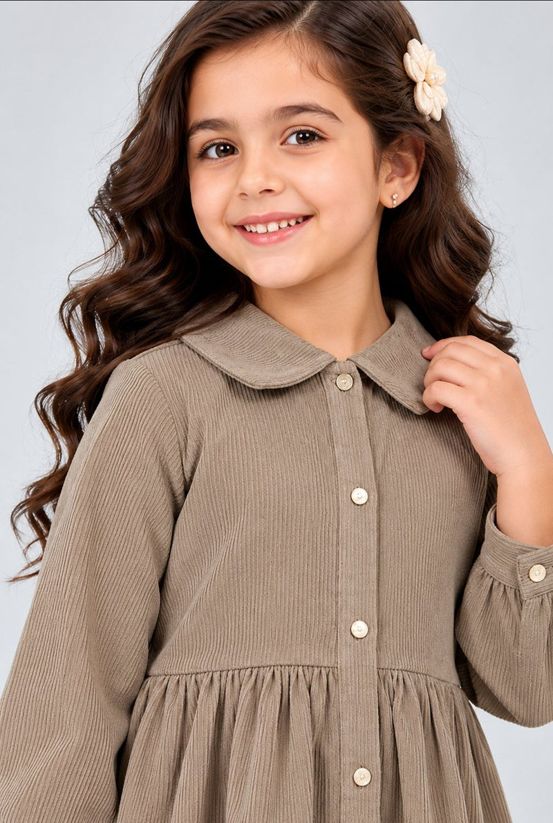 Spunkies Girl's Taupe Corduroy Full Sleeve Tiered Dress