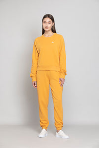 Mangosorbet